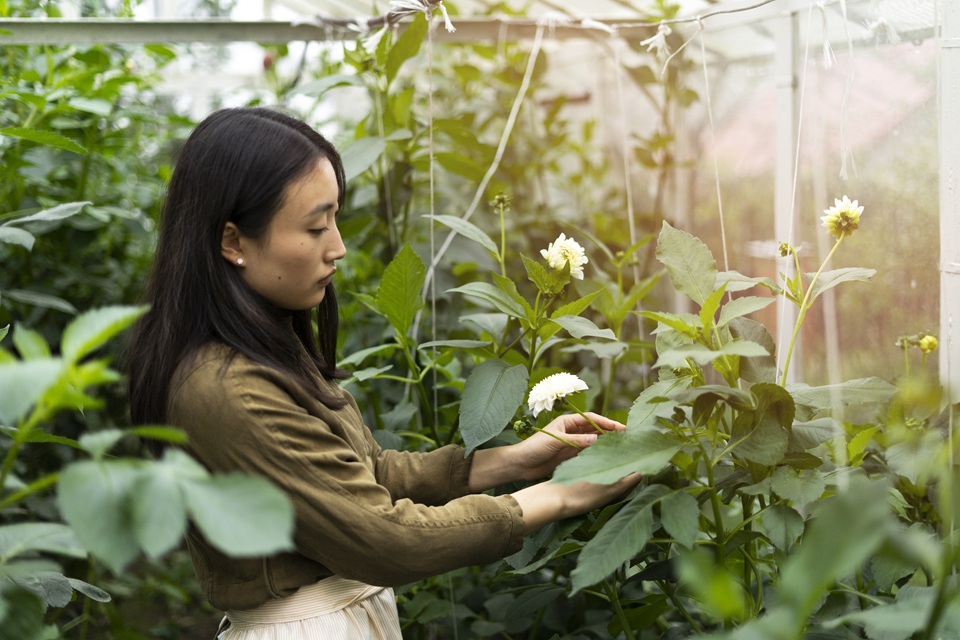 Adaptive Irrigation Solutions For Changing Climates