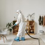 Pest Prevention Strategies For Chicago Homes