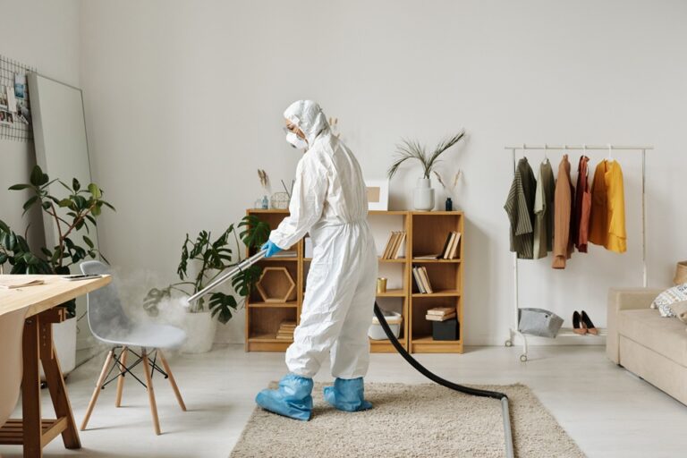 Pest Prevention Strategies For Chicago Homes