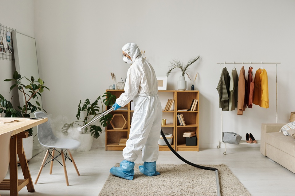 Pest Prevention Strategies For Chicago Homes